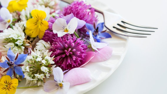 Essbare bunte Blüten liegen auf einem Teller © colourbox Foto: -