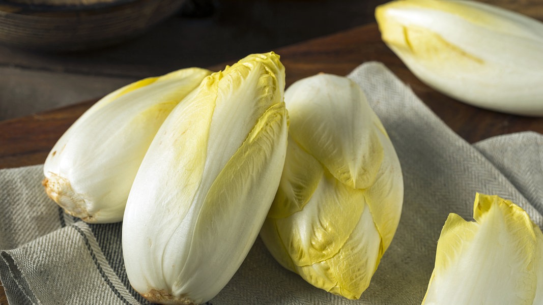Fenchel ChicoréE – GemüSe - Rezepte Suchen