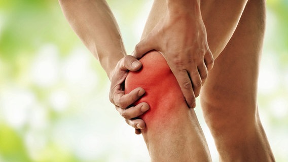 Mann hält sich ein schmerzendes Knie, das schematisch rot eingefärbt ist. © Fotolia.com Foto: underdogstudio