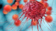 Grafik einer Krebszelle © Fotolia.com Foto: fotoliaxrender