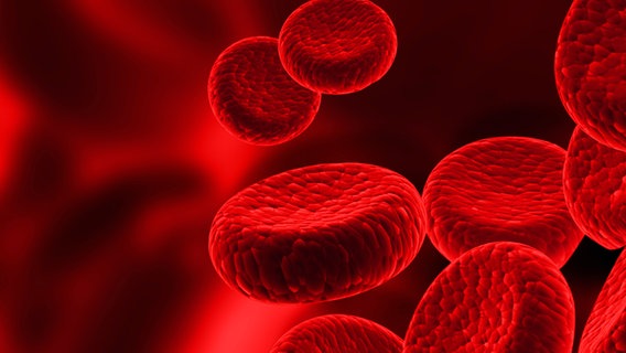 Las plaquetas rojas flotan en una habitación oscura.  © Caja de color 