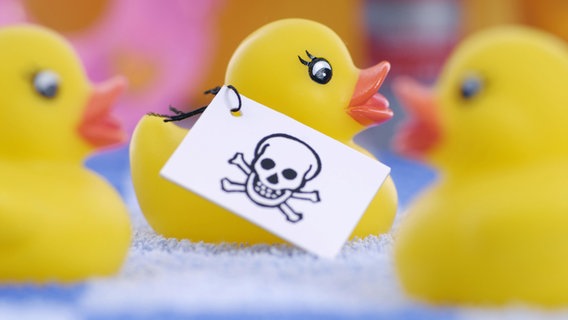 Diverse Gummientchen, von denen eines einen Zettel mit einen Totenkopf um den Hals hängen hat. © picture alliance / imageBROKER Foto: Christian Ohde