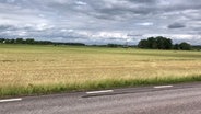 Flache Landschaft in Schweden © NDR 
