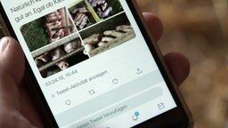 Tweet mit Bildern aus einem Schweinestall © NDR Foto: Screenshot