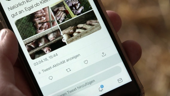 Tweet mit Bildern aus einem Schweinestall © NDR Foto: Screenshot