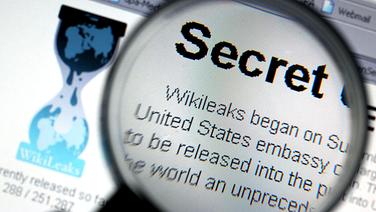 Die Website von Wikileaks © picture-alliance/dpa Foto: Oliver Berg
