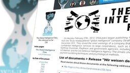 Wikileaks: The Global Intellegience Files  