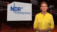 ZAPP Moderatorin Kathrin Drehkopf © NDR 