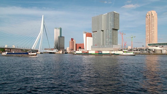 Blick auf Rotterdam, das "Manhattan an der Maas"; links die Erasmusbrücke. © NDR/HR 