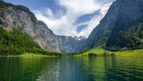 Der "bayerische Fjord": Königssee im Frühsommer mit saftig-grünen Wiesen. Am Horizont eine Gebirgskette. © NDR/WDR/nautilusfilm 