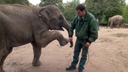 Elefantenkind Rani bekommt Unterricht von Christian Wenzel. © NDR 