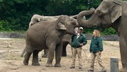 Die Elefantendamen mit Elefantenpfleger Torsten Köhrmann und Azubi Felicitas Imaschewski bei der Show. © NDR/DocLights GmbH 