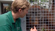 Claus Claussen tröstet Tuan während den Bauarbeiten im Orang-Utan Gehege. © NDR 