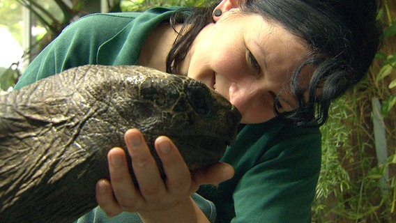 Tierpflegerin Juliane Steinmetz krault Schildkröte Schildi. © NDR/DocLights GmbH 