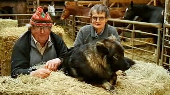 Zwei Männer und ein Hund sitzen in einem Schuppen  