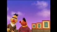 Ernie und Bert aus der Sesamstrasse (Folge 2797).  