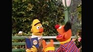 Ernie und Bert aus der Sesamstrasse (Folge 2795).  