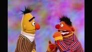 Ernie und Bert aus der Sesamstrasse (Folge 2798).  