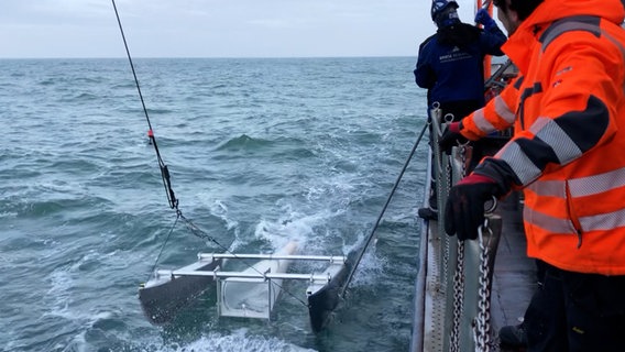 Menschen ziehen neben einem Schiff ein Filternetz an der Wasseroberfläche entlang © Screenshot 