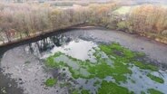 Der abgelassene Lohmühlenteich in Hohenlockstedt © Screenshot 