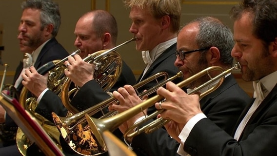 Die Trompeter und Hornspieler des NDR Sinfonieorchesters sitzen in einer Reihe auf der Bühne.  