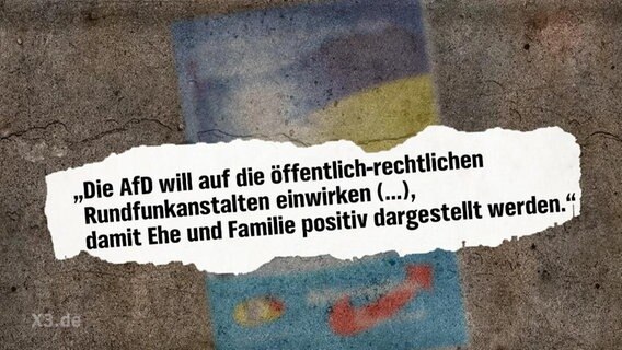 Ein Auszug aus dem Wahlprogramm der AfD.  