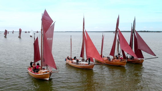 Zeesboote auf dem Darßer Bodden. © rbb/NDR 