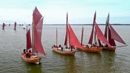 Zeesboote auf dem Darßer Bodden © rbb/NDR 