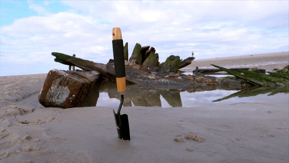 Das Wrack eines Schiffs liegt im Watt, davor steckt eine kleine Schaufel im Sand. © Screenshot 