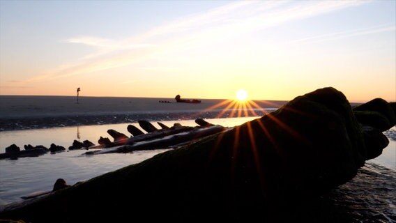 Das Wrack eines Schiffs liegt beim Sonnenaufgang im Watt. © Screenshot 