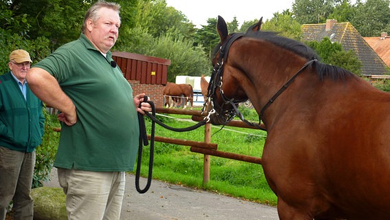 Tamme Hanken behandelt ein Pferd © NDR / Miramedia GmbH Foto: Erik Hartung