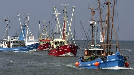 Ost- und nordfriesische Küstenfischer demonstrieren auf der Nordsee vor Cuxhaven, um auf ihre gefährdeten Existenzen aufmerksam zu machen (Archivfoto vom 26.07.2003). © picture alliance Foto: Ulrich_Perrey