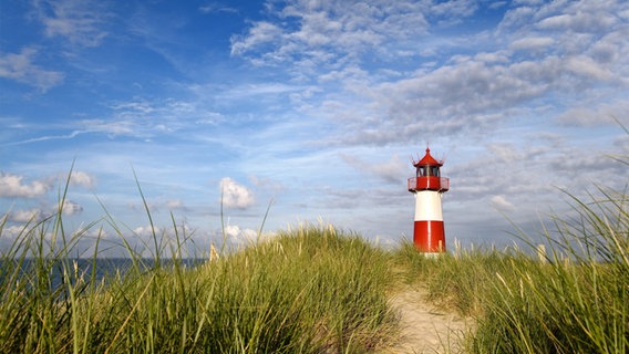 Der rot-weiß gestreifte Leuchtturm List Ost auf Sylt mit blauem Himmel und grünen Gräsern im Vordergrund. © picture alliance/imageBROKER 
