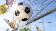 Ein Fussball fliegt in ein Tor und wirbelt Euroscheine empor. © fotolia.com Foto: Smileus, h368k742