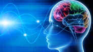 Ein transparenter menschlicher Kopf mit farbig gekennzeichneten Gehirnarealen und Wellenlinien. © fotolia.com Foto: psdesign1