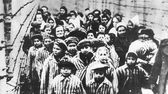 Kinder in Häftlingskleidung werden nach der Befreiung 1945 aus dem KZ Auschwitz geführt. © picture-alliance / Mary Evans Picture Library/WEIMA 