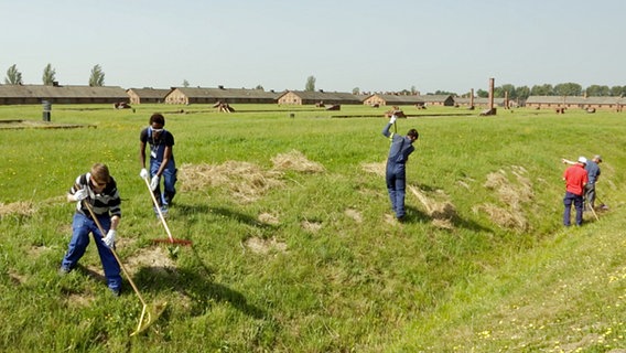 Jungs arbeiten in Auschwitz  Foto: Screenshot