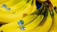 Bananen der Marke Chiquita © picture alliance/dpa Foto: Fabian Sommer