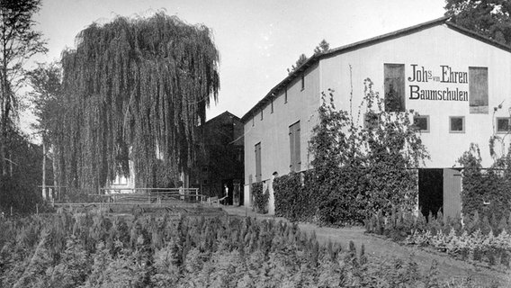 Der Packschuppen auf dem Gelände der Baumschule Lorenz von Ehren in Nienstedten in den 1940er-Jahren. © Baumschule Lorenz von Ehren 