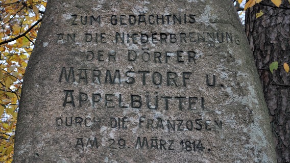 Eine Inschrift auf einem Gedenkstein zwischen Bäumen © NDR.de Foto: Janine Kühl