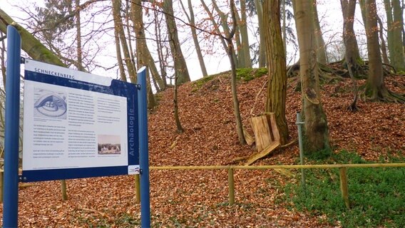 Der Schneckenberg in Friedrichsruh © NDR Foto: Irene Altenmüller