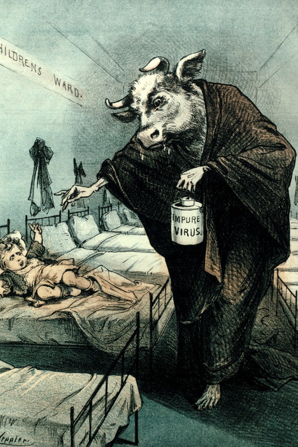 Karikatur von 1880 zeigt eine Kuh, die ein Kind impft. © picture-alliance / akg-images 