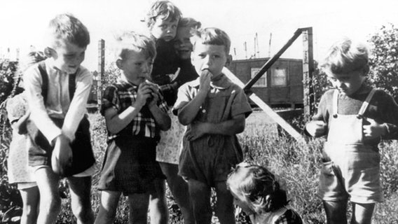 Deutsche Flüchtlingskinder, 1945. © picture-alliance/ dpa Foto: dpa