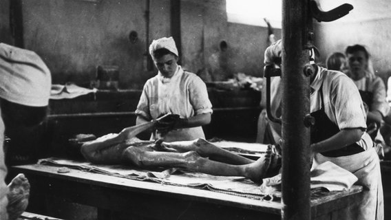 Krankenschwestern versorgen Überlebende des KZ Bergen-Belsen nach dessen Befreiung im April 1945. © picture-alliance / akg-images Foto: akg-images