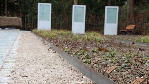 Gedenk-Stelen auf dem Ehrenfriedhof am Lüneburger Stadtrand. © NDR Foto: Lars Gröning