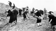 Frauen und Männer des Volkssturms beim Ausheben eines Panzergrabens 1945 © picture-alliance / akg-images Foto: akg-images