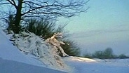 Tief verschneite Landschaft in Schleswig-Holstein im Winter 1978/79. © NDR 