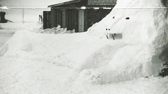 Ein "Schneeungeheuer" im Garten von Kirstin Gärtner im Jahr 1979. © NDR Foto: Kirstin Gärtner