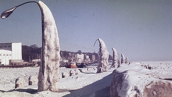 Im Winter 1979 sind  Straßenlaternen auf Rügen auf einer Seite komplett mit Schnee und Eis bedeckt. © NDR Foto: Gerd Weinhardt
