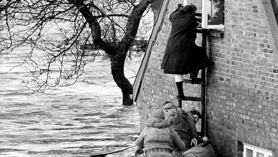 Einwohner aus Wilhelmsburg werden bei der Sturmflut 1962 mit Schlauchbooten aus ihren Häusern gerettet © picture-alliance/dpa Foto: Lothar Heidtmann